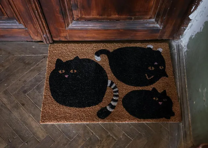 Fatcat Central Studio