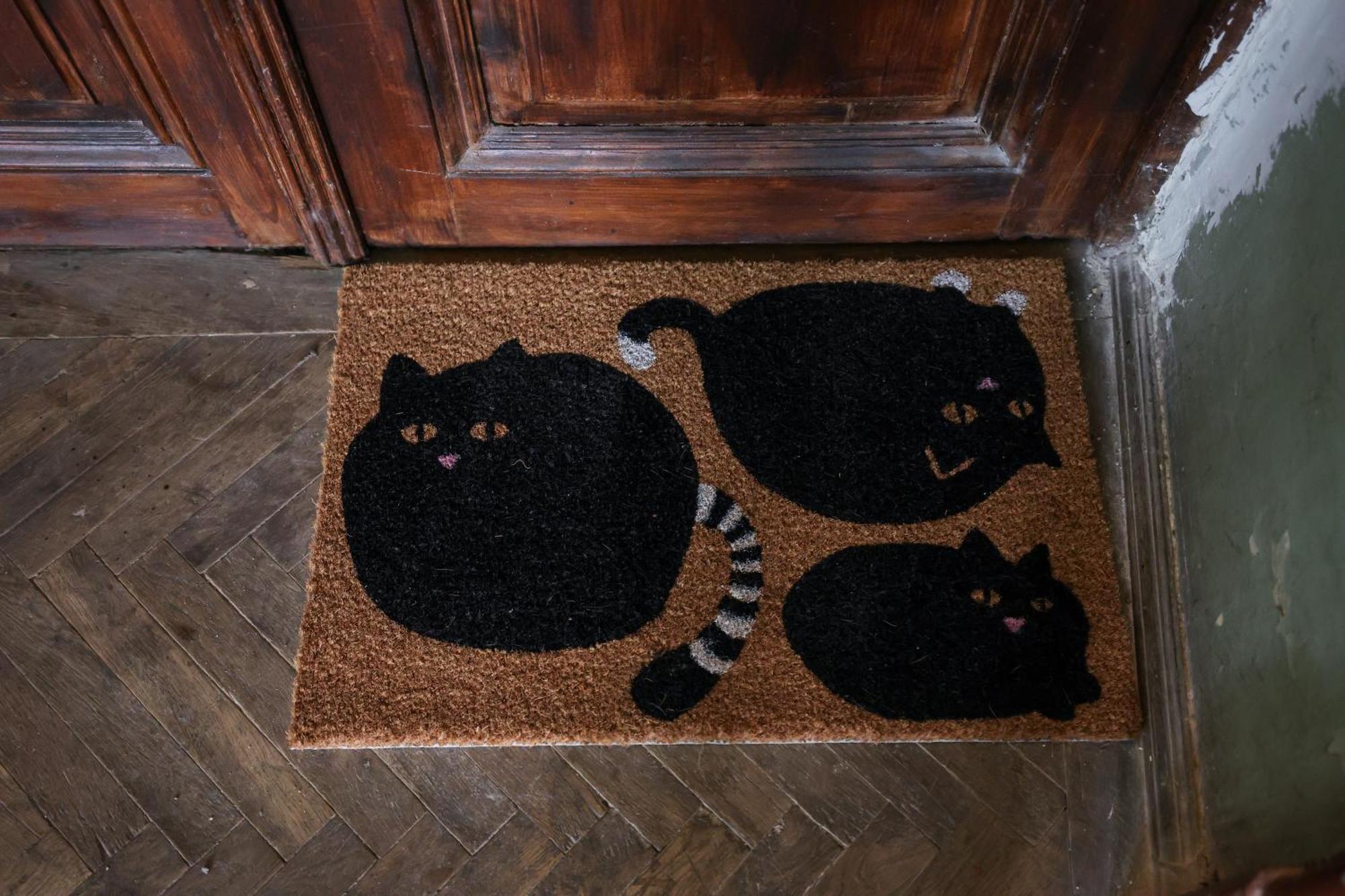 Fatcat Apartment *