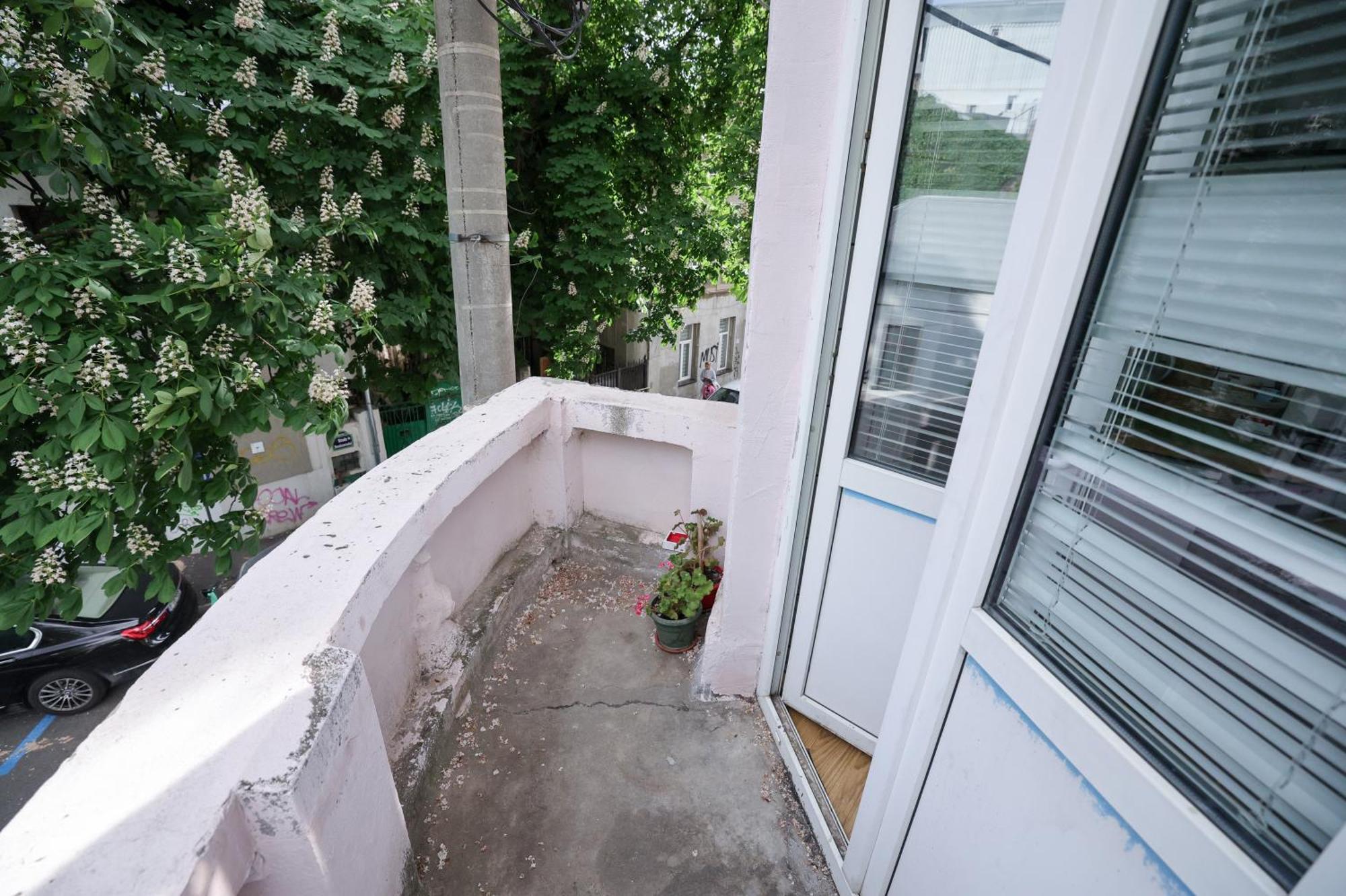 Apartament Fatcat